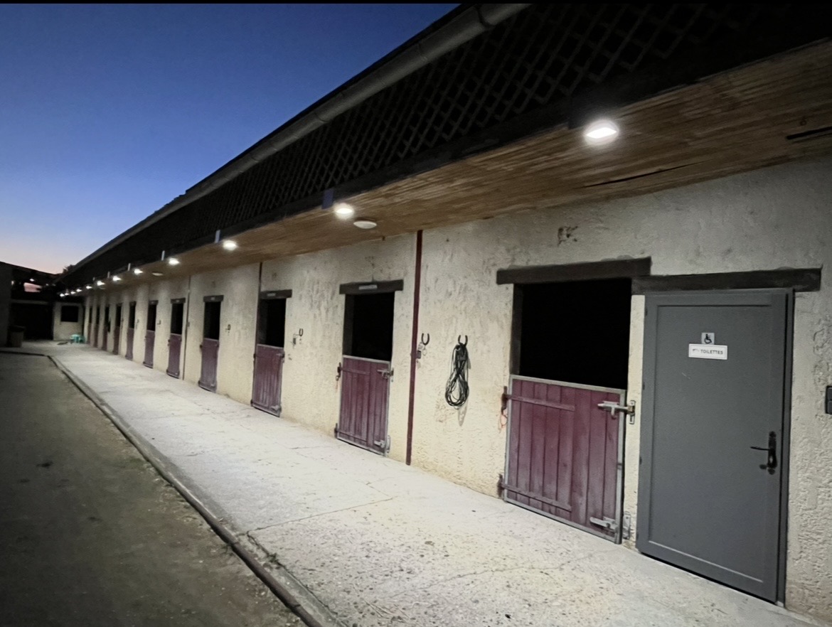 Boxes a cheval de l'écurie - élevage d'elphe.