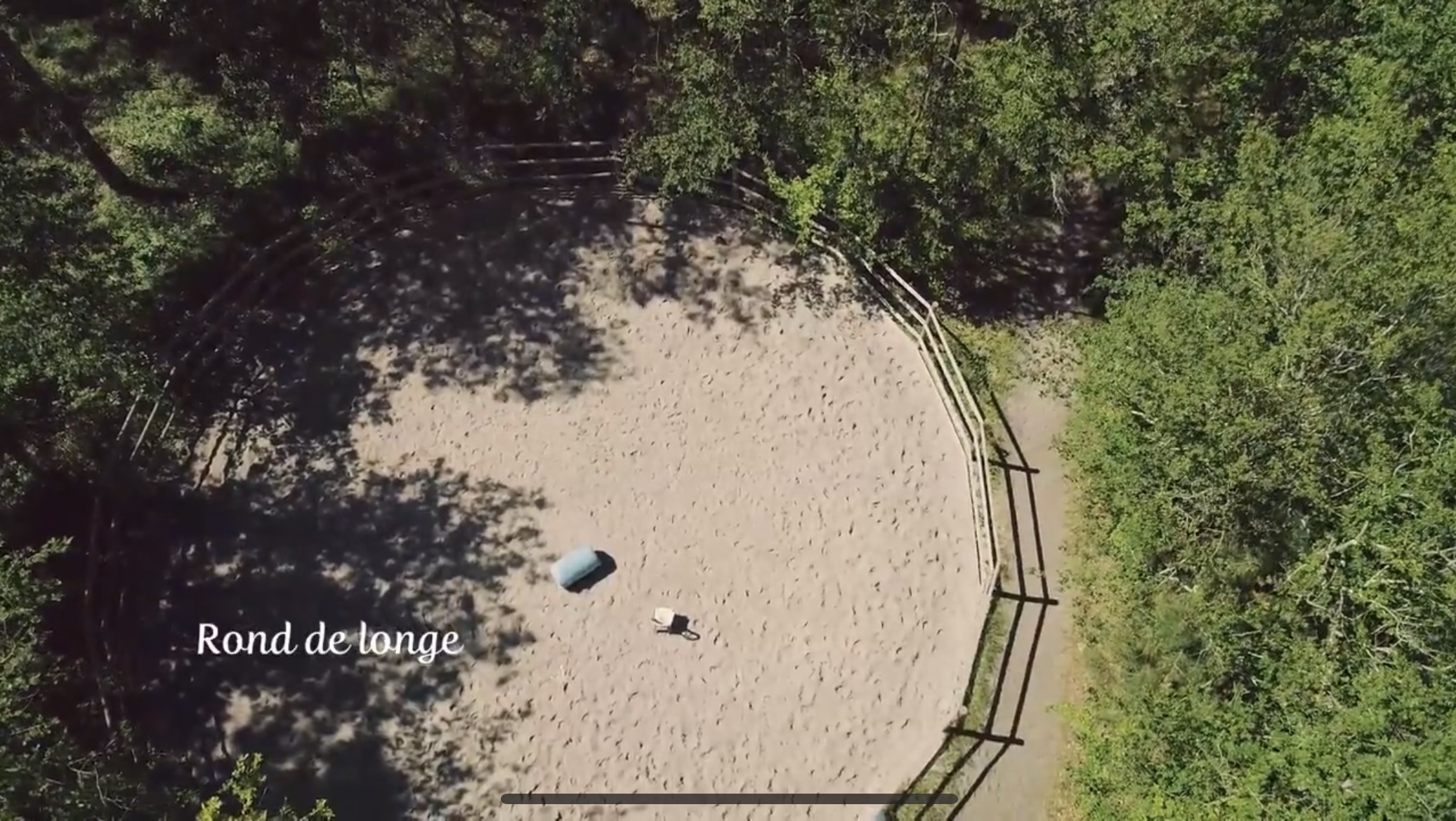 Rond de longe de l'Écurie - élevage d'Elphe.